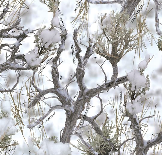 True Timber MC2 Snow Cotton Fabric